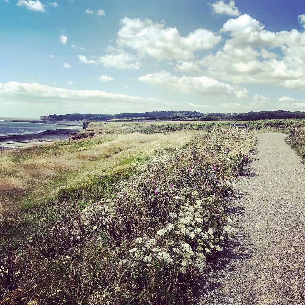 Instagrammed view across of the path to St Donats
